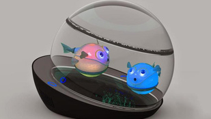 Wifi-jelen élő hal: menő vagy ciki?