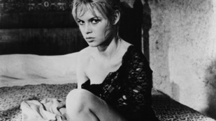 Brigitte Bardot 80 éve bűvöl el mindenkit