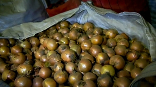 86 tonna zöldséget foglaltak le Pest megyében