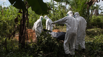 Mi áll az ebolajárvány hátterében?