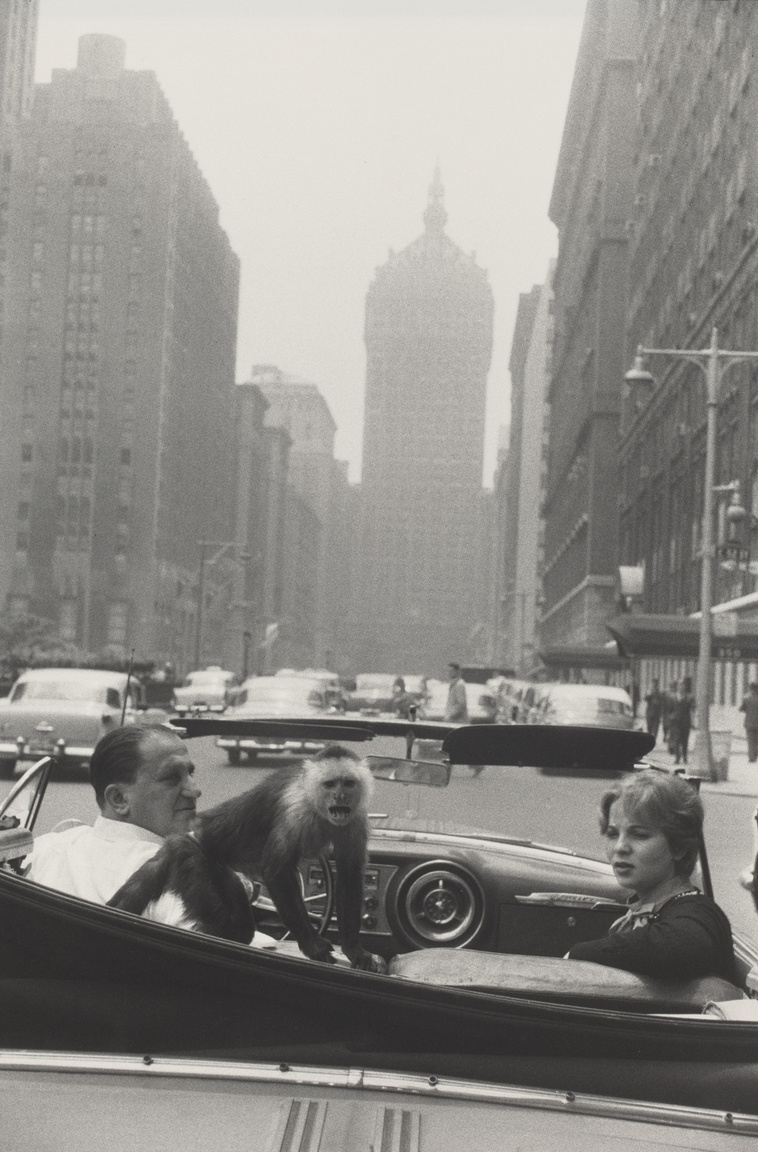 Park Avenue, New York (1959)