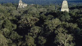 Ősi maja városokat fedeztek fel az őserdőben