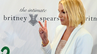 Britney Spears lovat vett a pasijának