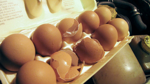 Filléres neppertrükk – tojás a hűtőbe