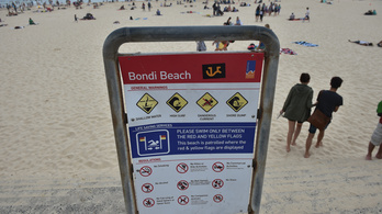 Cápaveszély miatt lezártak egy ausztrál strandot