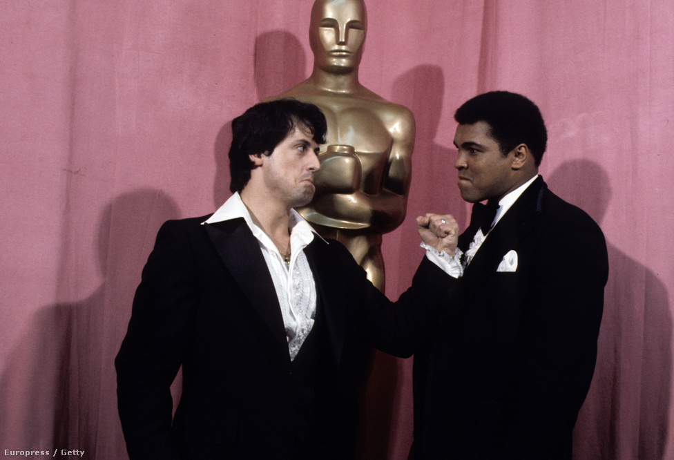 Rocky megformálásáért 1977-ben Sylvester Stallonét Oscar-díjra jelölték. Őt is meglepte, hogy a díjátadón Muhammad Ali is megjelent. "Én vagyok az igazi Apollo Creed. Mutasd meg, mi tudsz valójában!" – mondta neki műbalhézva Ali, és árnyékbokszba kezdtek.