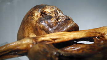 Új tetoválást találtak Ötzin, a gleccsermúmián