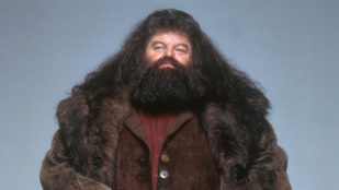 Hagrid kórházba került Floridában