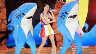 Mém lett Katy Perry bal cápájából