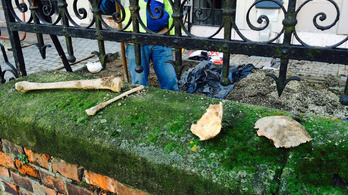 Emberi csontokat ástak ki a munkások a Széll Kálmán tér felújításakor