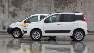 Teszt: Fiat Panda Van 4x4 - 2015.