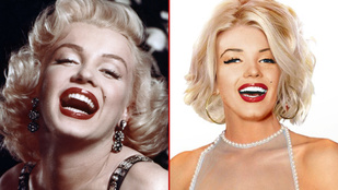 Ha Marilyn Monroe ma élne, beleolvadna a tömegbe
