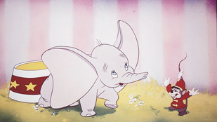 Tim Burton élőszereplős Dumbo-filmet forgat