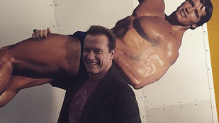 Dobjon el mindent! Itt a világ legjobb fotója Schwarzeneggerről!