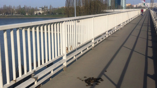 Az Árpád hídra kakilt valami vagy valaki