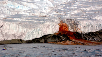 Megtalálták az antarktiszi vérző gleccser szívét