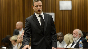 Oscar Pistorius már augusztusban szabadulhat