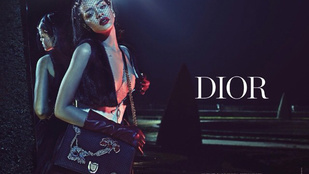 Mellközével népszerűsíti a Diort Rihanna