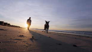 Itt a kutyabarát strandok 2015-ös listája