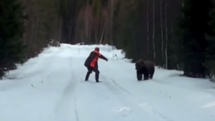 Így kell beparáztatni egy hatalmas barna medvét