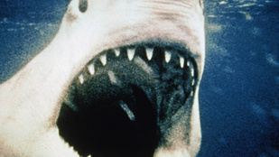 40 éves lett Spielberg kultfilmje, a Cápa