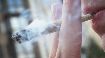 Az orvosi marihuána legalizálásától nem lesz több füvező