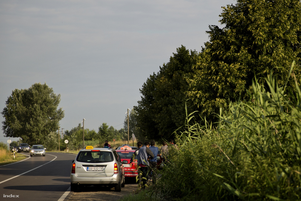 A menekültekből sokan húznak hasznot Szerbiában és Magyarországon is. Elsősorban a taxisok, akik több száz eurót zsebelnek be egy-egy illegális fuvar után. Arra ügyelnek, hogy a határon keresztül ne szállítsanak senkit, mert az már tagadhatatlanul embercsempészet lenne, míg a köztes fuvarokat még úgy ahogy ki tudják magyarázni. Szeged környékén van olyan taxis, akit már többször letartóztattak, de a mai napig nem sikerült rábizonyítani a csempészést. A jólértesült helyiek szerint akár heti félmillió forintot is meg lehet keresni a taxizással így.