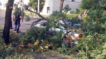 Hatalmas fa dőlt a Hungária körúton haladó autóra
