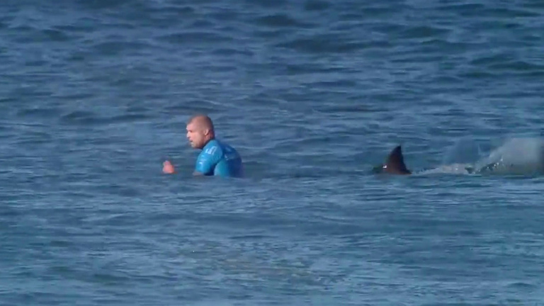 Verseny közben úszott meg cápatámadást a szörfvilágbajnok