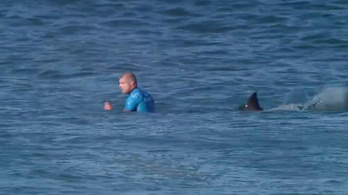 Verseny közben úszott meg cápatámadást a szörfvilágbajnok