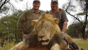 Zaklatási ügye is volt az oroszlángyilkos fogorvosnak