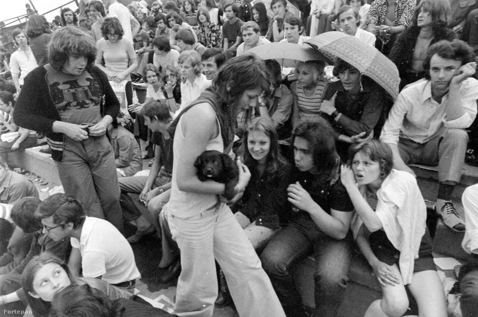 1973-ban a magyarországi fiatalok egy kicsit megérezhették, mekkora buli lehetett 1969-ben Woodstock. A DVTK (Diósgyőr-Vasgyári Testgyakorlók Köre) stadionjában rendezett rockfesztivált a mai napig &bdquo;magyar Woodstock&rdquo;-ként emlegetik, mivel a hazai beatmozgalom legnagyobb Beatles-, Rolling Stones-, Kinks-, Animals- és Jimi Hendrix-rajongói léptek fel: Koncz Zuzsa, az Illés, Demjén Ferenc és Bergendyék. Ekkor történt, hogy tömegverekedés tört ki a Bergendy-együttes koncertje alatt, Bródy Jánost pedig egy félreértés miatt államellenes izgatás vádjával rabosították. Koncz Zsuzsa szerencsére mellette tanúskodott, így megúszta 5000 forint pénzbírsággal. Azt persze nem tudni, hogy a trapéznadrágos hippilány ölében levő kiskutyának mennyire jött be a hangos zene és az embertömeg, de ha abból indulunk ki, hogy a kutya mindenhol szeret lenni, ha ott a gazdájával együtt lehet, olyan nagy baj biztos nem történt.