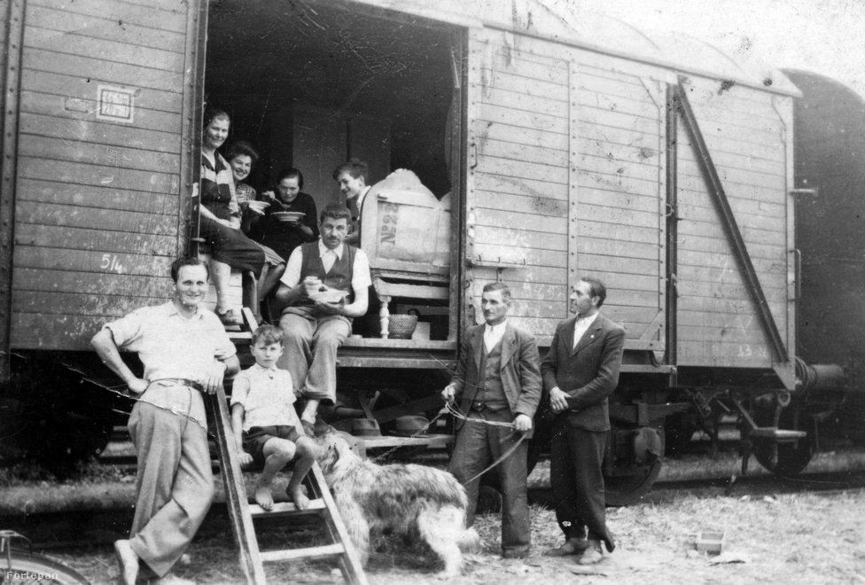 A második világháború után a csehszlovák–magyar lakosságcsere egyezmény értelmében felvidéki magyarok tízezreit telepítették át 1947-ben Magyarországra, és ezzel egy időben magyarországi szlovákok települtek át Csehszlovákiába. A csallóközi magyarok főleg a Németországba kitelepített sváb lakosság házait kapták meg Pest megyében, Nógrádban, a Dél-Dunántúlon és a Dél-Alföldön. A képen látható család annak ellenére vidáman mosolyog a fotós felé, hogy az összes vagyonuk annyi, amennyi bútort egy marhavagonba be tudtak zsúfolni. A szokásaikon az átélt szörnyűségek sem változtattak: a családi ebédhez illik szépen kiöltözni, és a kutyasétáltatást sem úszhatja meg senki.
