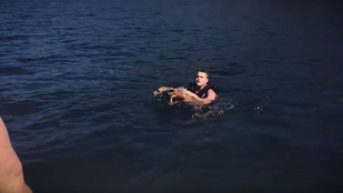 Szupercuki őzgidát mentettek ki a tóból, és ezt le is videózták