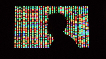 A fél internet elférne a génjeinkben