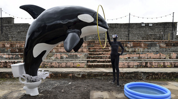 Sokkolónak ígérkezik Banksy élményparkja, a Dismaland