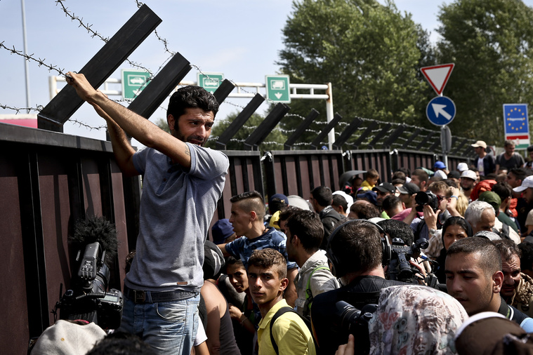 A Horgosnál gyülekező menekülteknek ezzel az ellentmondásos helyzettel kell szembenézniük