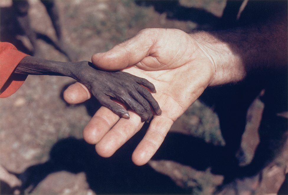 1981. Egy súlyosan alultáplált fiú keze egy katolikus szerzetes kezében az észak-ugandai Karamoja régióban.Az éhezés a mai napig viszatérő gond ezen az aszályos vidéken, ahol az aszály mellett társadalmi és politikai okokból is rendkívül súlyos volt a helyzet az 1970-es években. 1980-ban nem egészen egy év alatt a népesség közel 20 százaléka, a csecsemők körülbelül fele halt éhen.Az év fotója díjat Mike Wells felvétele nyerte el, amelyen egy éhező gyerek kezét látjuk.